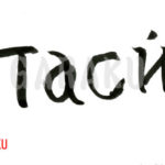 デザイン書道：作品062「спасибо.」