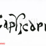 デザイン書道：作品162「Capricorn（山羊座）」