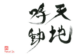 てんちめいどう