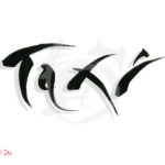 デザイン書道：作品1816「Taxi」
